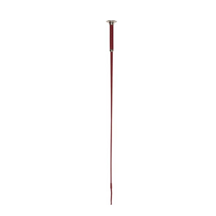 Dresurni bič 110 cm red