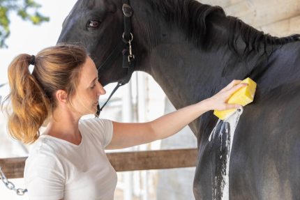 Grooming spužva 1